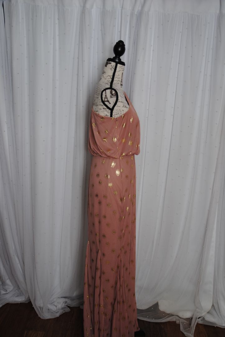 blush and gold Adrianna Papell collection Foiled dot asymmetrical mesh long dress, 6/M