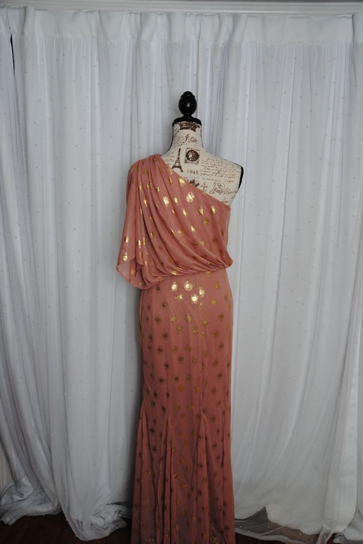 blush and gold Adrianna Papell collection Foiled dot asymmetrical mesh long dress, 6/M