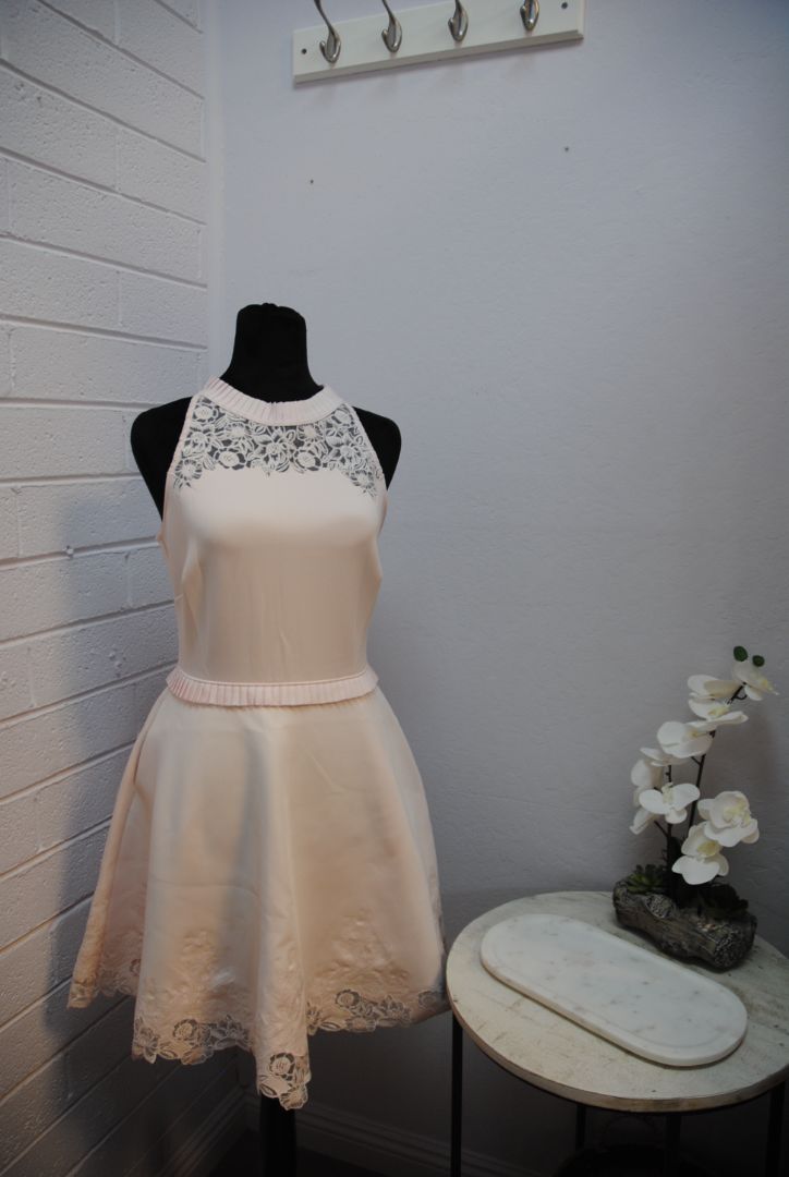 Ted Baker Blush Lace Trim Flare Dress 1