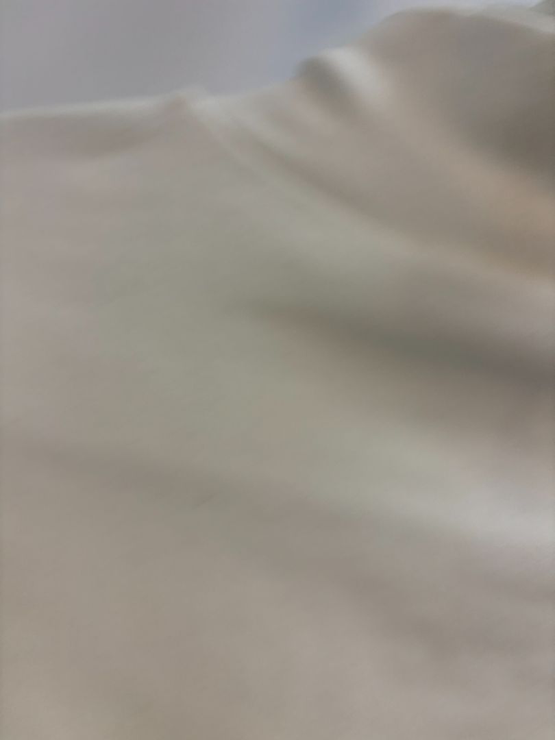 white ZARA turtle neck short sleeve top, M