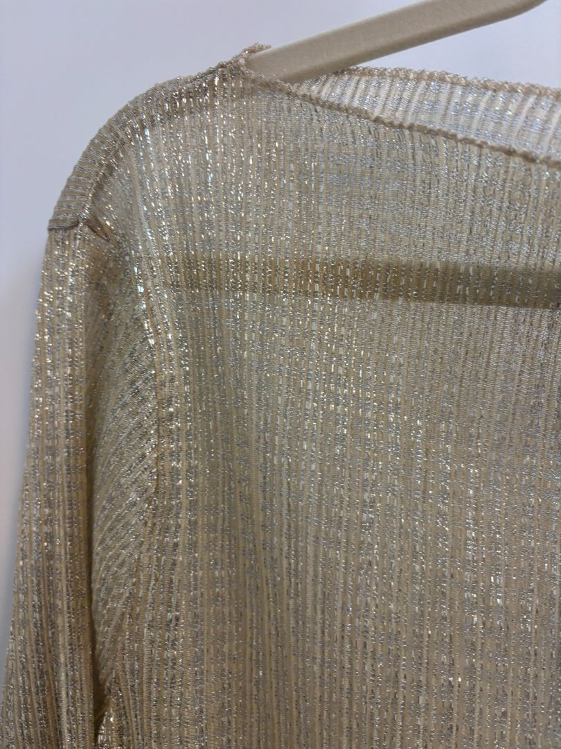 champagne JCREW sheer top, M