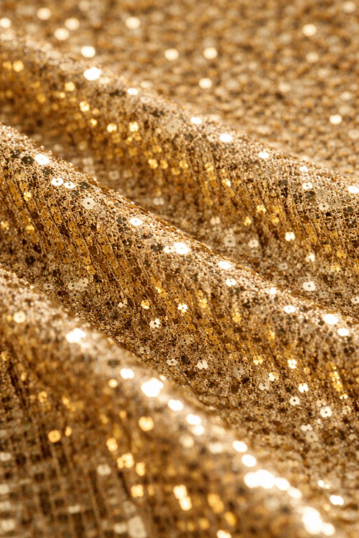 Free People Antique Gold Sequin Embellished Top