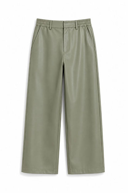 Aknvas pleather pants