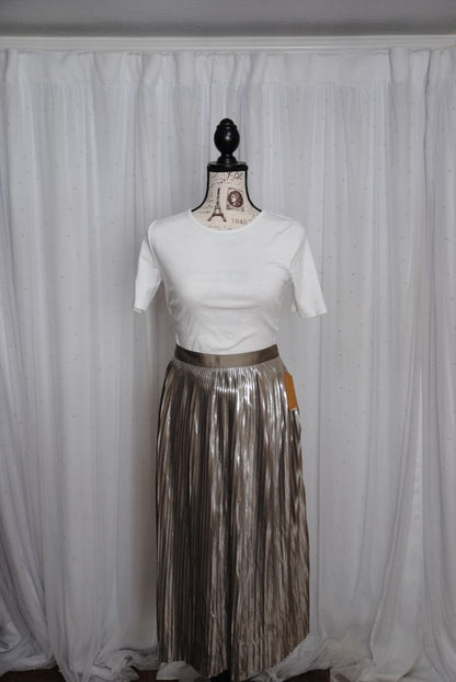 metallic pewter Banana Republic metallic pleated maxi skirt NWOT, 10