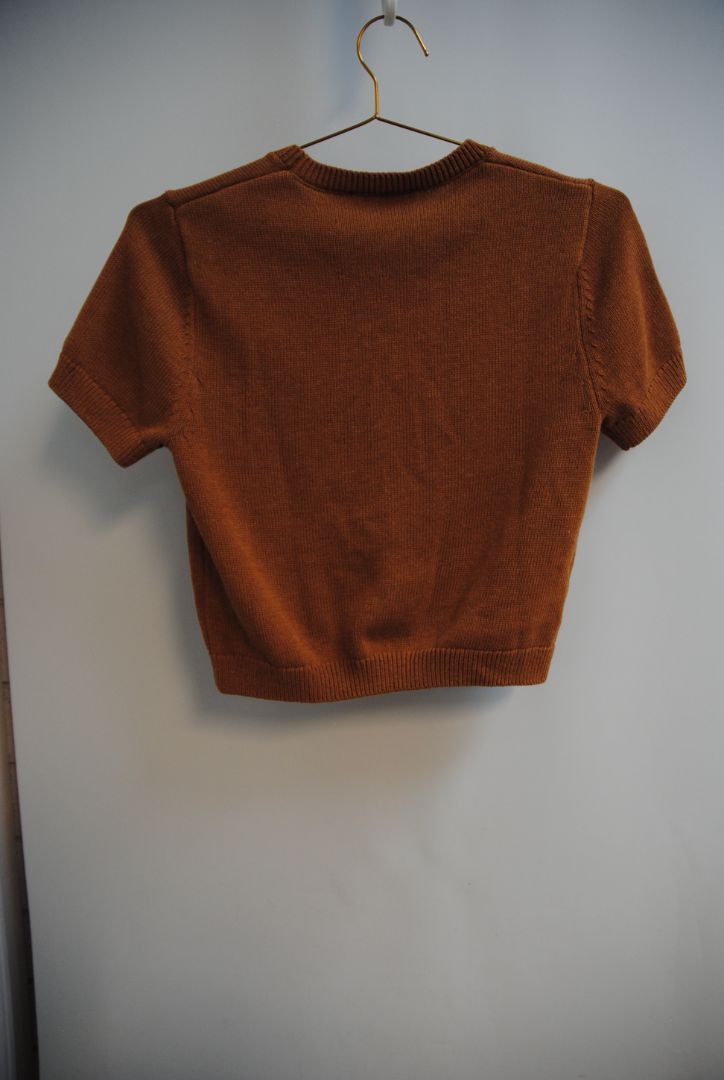 rust ZARA knit short sleeve top, S