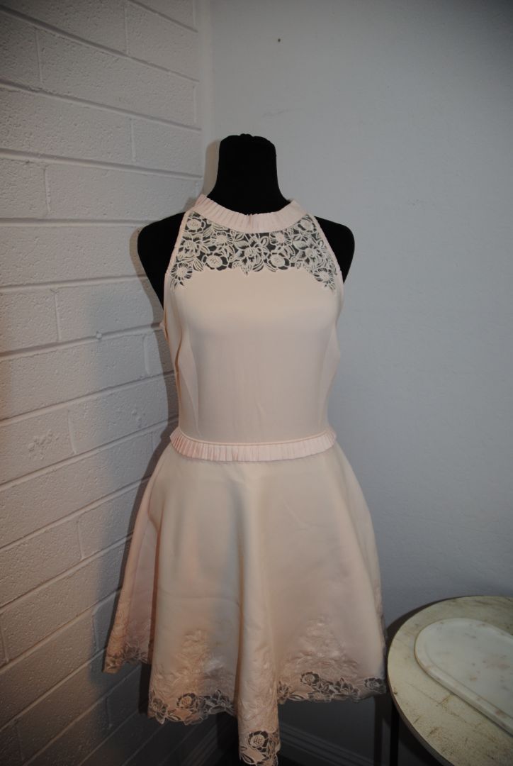 Ted Baker Blush Lace Trim Flare Dress 1
