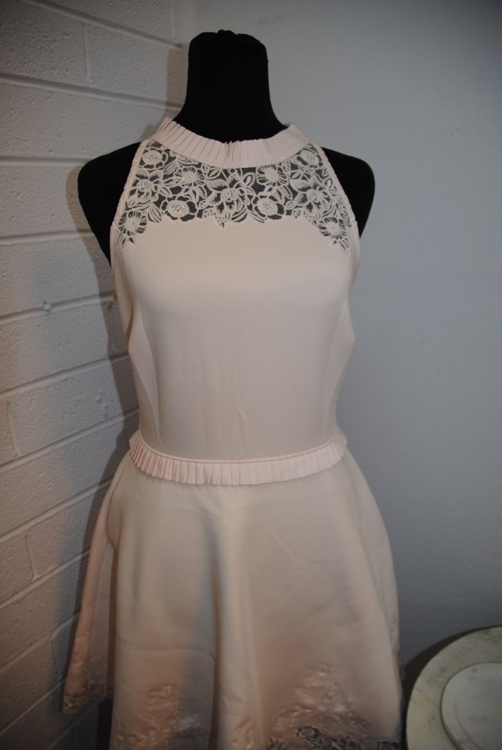 Ted Baker Blush Lace Trim Flare Dress 1