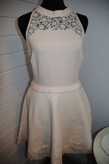 Ted Baker Blush Lace Trim Flare Dress 1