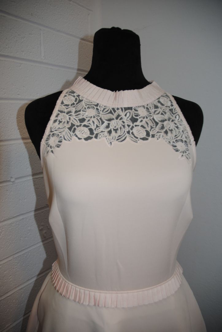 Ted Baker Blush Lace Trim Flare Dress 1