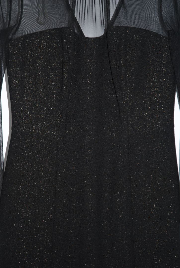 Maggy London sheer top dress