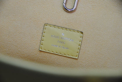 Louis Vuitton Epi Neverfull MM in Citron