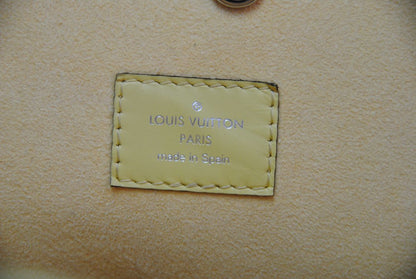 Louis Vuitton Epi Neverfull MM in Citron