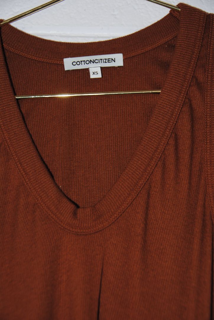 Cotton Citizen v neck tank