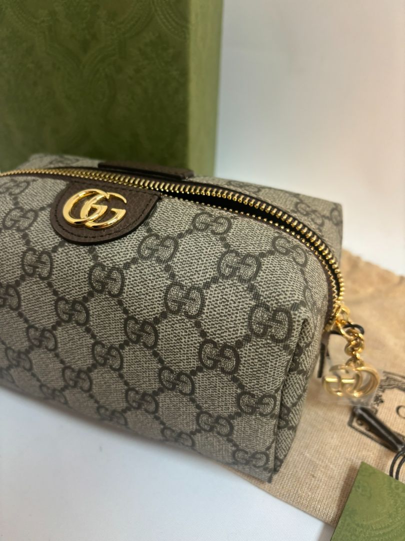 canvas Gucci ophidia makeup case