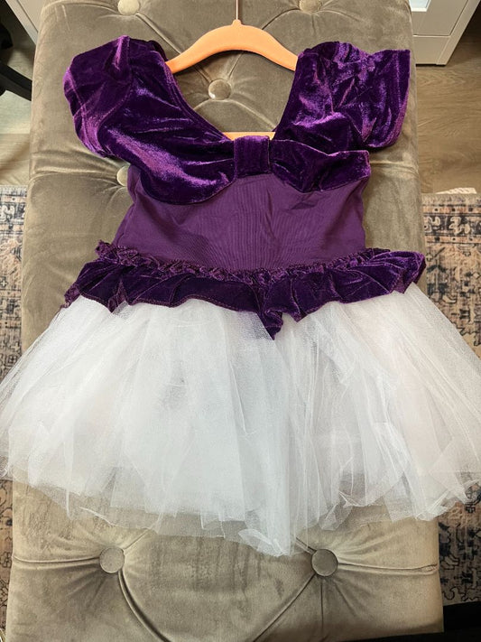 Purple Tutu School sugar plum purple, xs, s,m, l