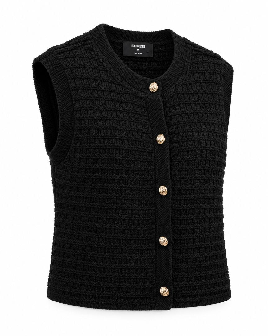 Express knit vest