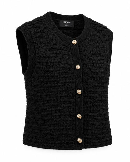 Express knit vest