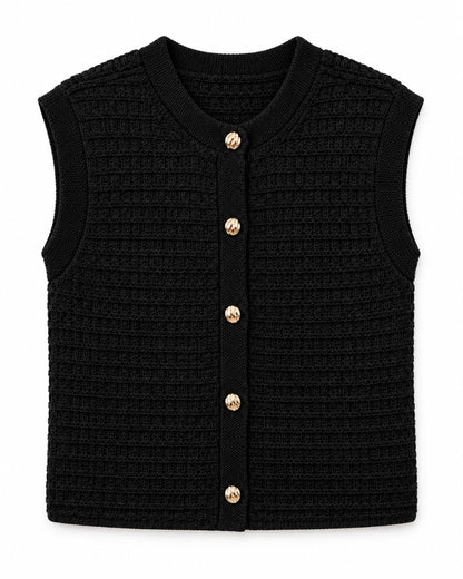 Express knit vest