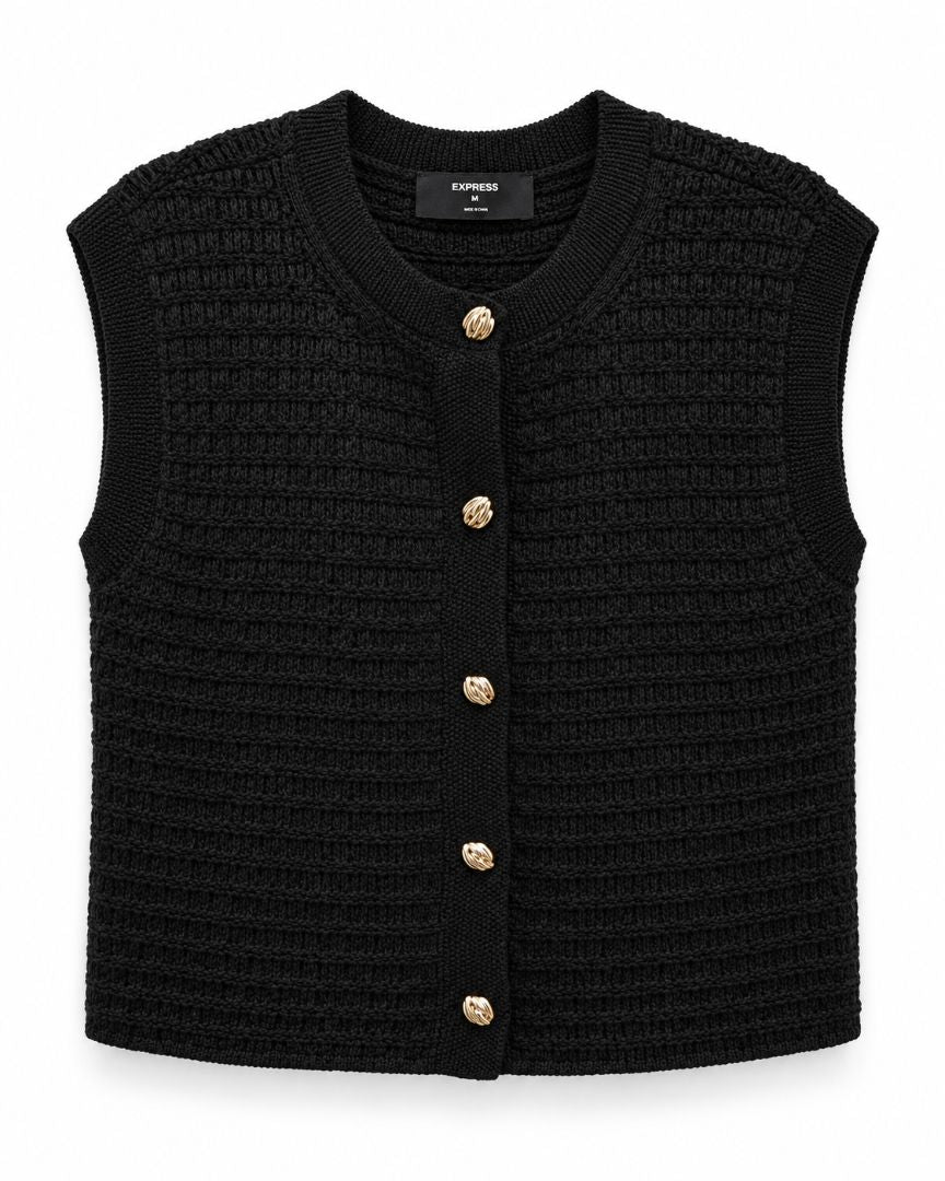Express knit vest