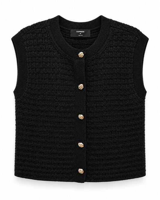 Express knit vest