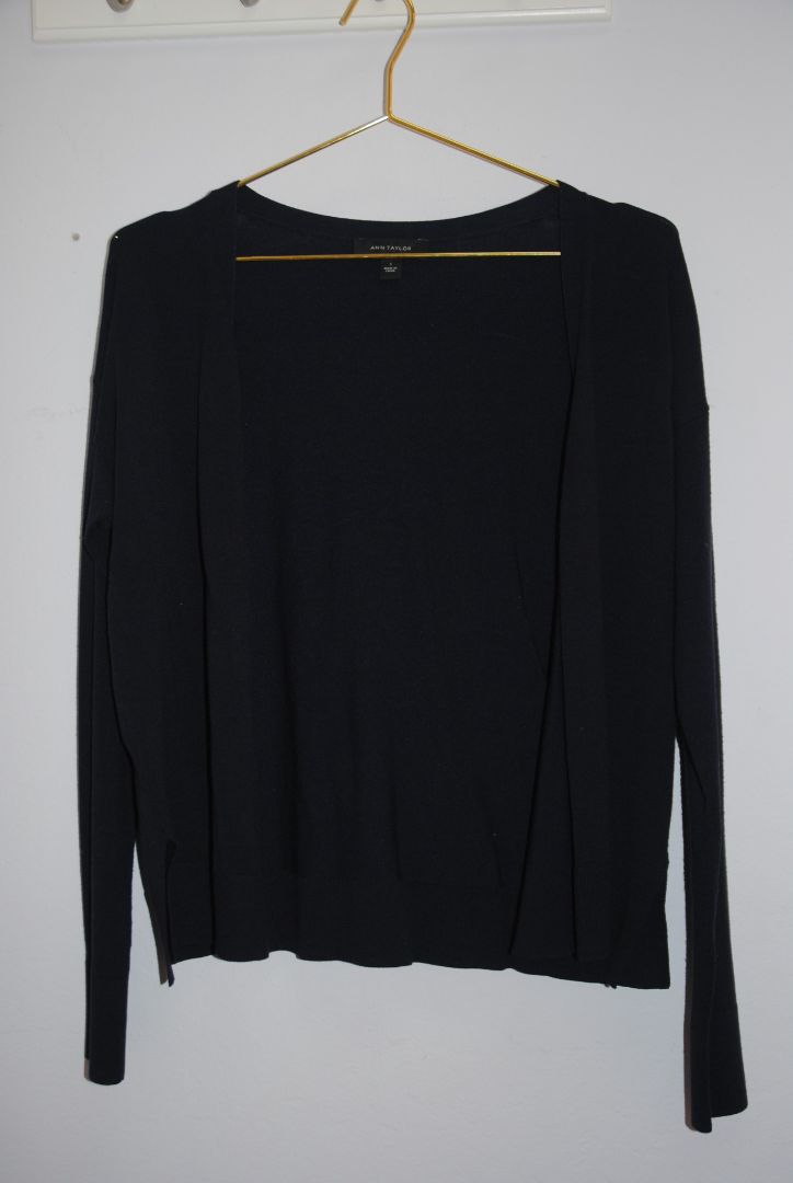Ann Taylor sweater
